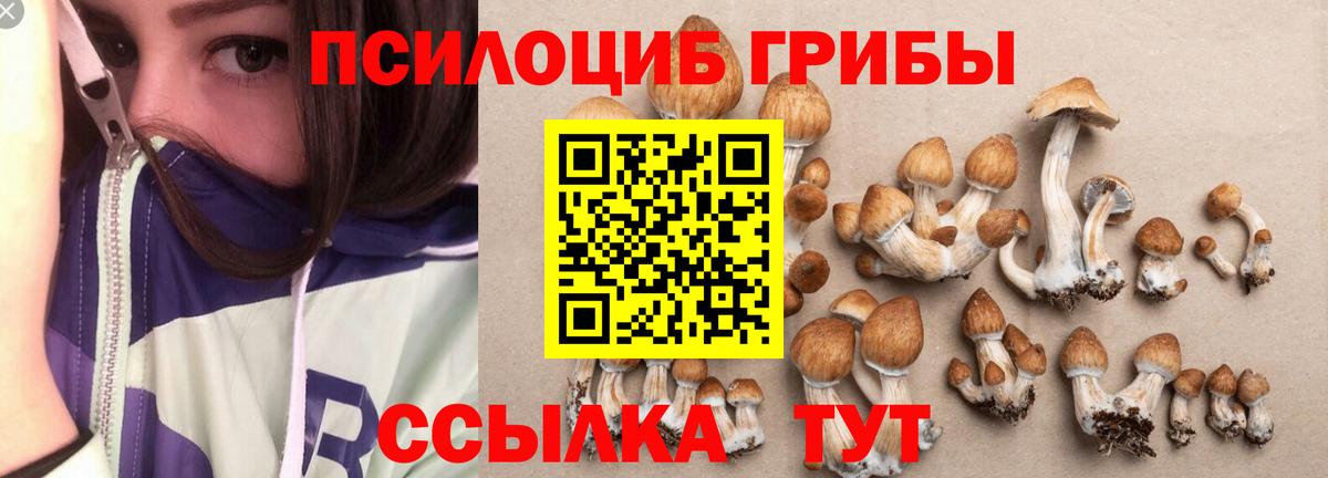 Галлюциногенные грибы Magic Shrooms  Вход с VPN  Усолье-Сибирское  Псилоцибиновые грибы GOLDEN TEACHER 